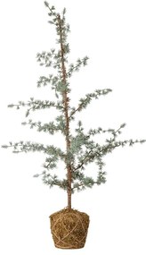 Sztuczna choinka wysokość 90 cm Vita – Bloomingville