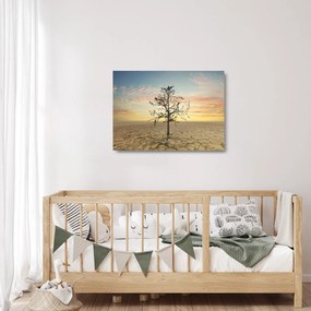 Obraz na szkle - Drzewo na pustyni (70x50 cm)