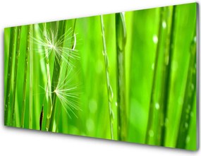 Szkło do Kuchni na Ścianę Naturalna Tekstura Trawy