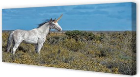 Obraz na płótnie Jednorożec na Zielonym Polu