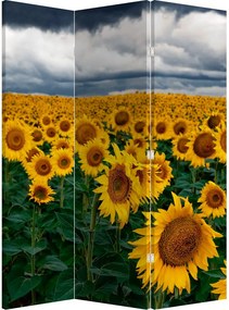 Parawan - Pole słoneczników (126x170 cm)