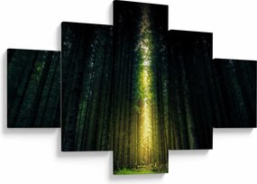 Obraz ciemnego lasu (125x70 cm)