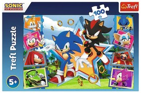 Trefl Puzzle Sonic Poznaj jeża, 100 elem.