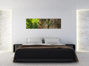 Obraz - wiewiórka (170x50 cm)