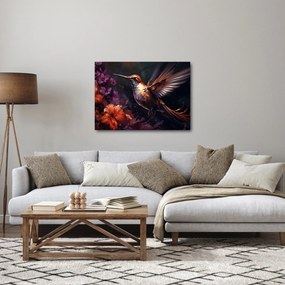 Obraz - Koliber (70x50 cm)