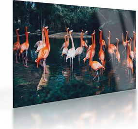 Obraz na szkle stada flamingów (70x50 cm)