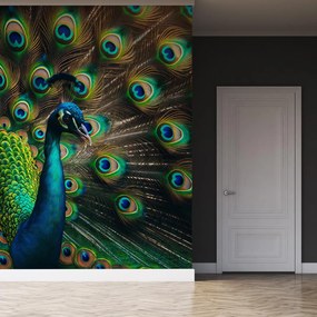 Fototapeta - Paw (196x136 cm)