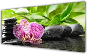 Panel Szklany do Kuchni Harmonijne Połączenie Zen