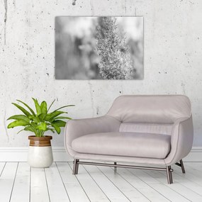 Obraz na szkle - Trawa pampasowa Boho (70x50 cm)