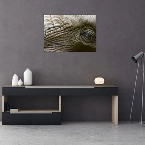 Obraz na szkle - Zbliżenie na stare oko słonia (70x50 cm)