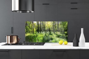 Panel Szklany Leśna Ścieżka wśród Traw