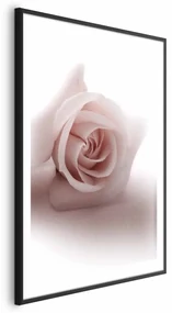 Plakat Różany cień 60x90 cm z ramą czarną z marginesem ARTGEIST B