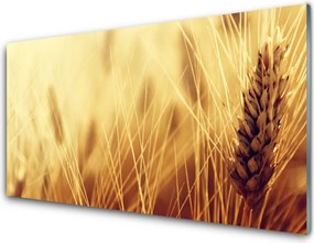 Panel Szklany Kłosy Pszenicy na Wietrze