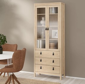 Dwudrzwiowa witryna z szufladami Madrid, jackson hickory