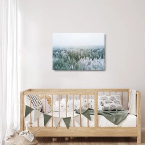 Obraz na szkle - Ośnieżone szczyty lasów (70x50 cm)