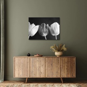 Obraz - Czarno - białe kwiaty tulipanów (70x50 cm)