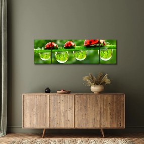 Obraz - Sunshine of the Seven Suns (170x50 cm)