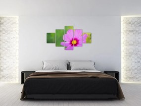 Obraz - polny kwiat (125x70 cm)