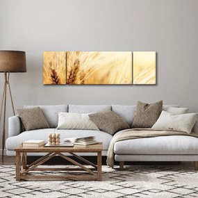 Obraz - szczegóły ziarna (170x50 cm)