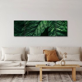 Obraz - Szczegół arkusza (170x50 cm)