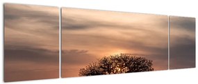Obraz zachodu słońca w Tanzanii (170x50 cm)