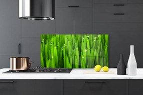 Panel Kuchenny Naturalne Źdźbła Trawy