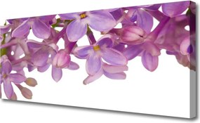 Fotoobraz na płótnie Kolorowa Łąka na Płótnie