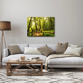 Obraz na szkle omszałej dżungli (70x50 cm)