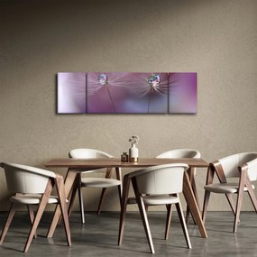 Obraz kropelek na puchu (170x50 cm)