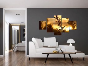 Obraz - słońce zachodzące za drzewami (125x70 cm)
