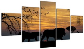 Obraz Safari (125x70 cm)