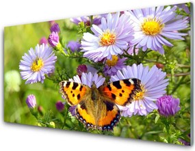 Panel Szklany do Kuchni Motyl Wśród Polnych Kwiatów