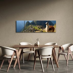 Obraz - Lama i Machu Picchu (170x50 cm)