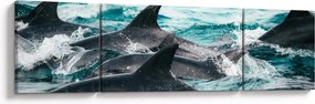 Obraz - Delfiny w oceanie (170x50 cm)