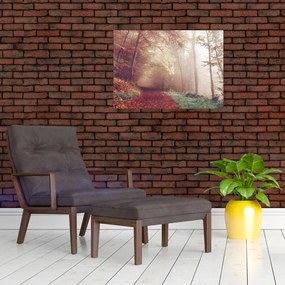 Obraz - Jesienny spacer po lesie (70x50 cm)
