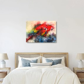 Obraz na szkle czerwonych papug Ara (70x50 cm)