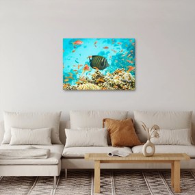 Obraz podwodnego świata (70x50 cm)