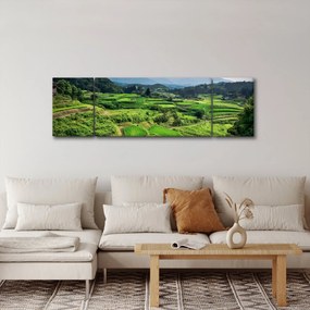 Obraz pól ryżowych (170x50 cm)