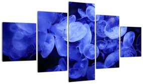 Obraz - Meduzy (125x70 cm)