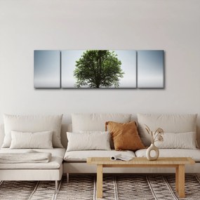 Obraz - Samotne drzewo (170x50 cm)