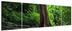 Obraz - Stare drzewo z korzeniami (170x50 cm)