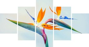 Obraz kwiatu Strelicji (125x70 cm)