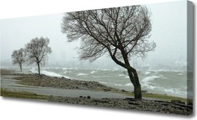 Obraz canvas Wodospad w Ukrytej Gęstwinie