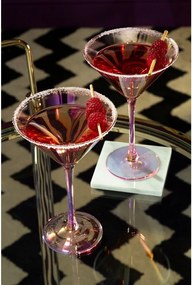 Kieliszki do koktajli zestaw 2 szt. 250 ml Frosted – Premier Housewares