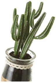 Sztuczne rośliny zestaw 4 szt. (wysokość 18 cm) Cactus – Casa Selección
