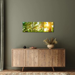 Obraz - Słoneczny Las (z zegarem) (90x30 cm)