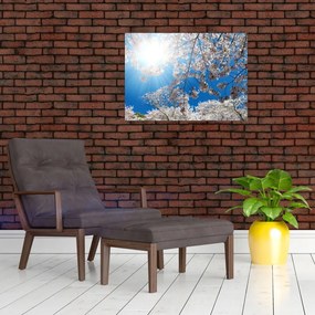 Obraz - Wiśniowe kwiaty (70x50 cm)