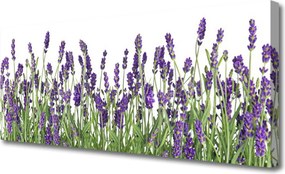 Obraz drukowany na płótnie Elegancja Polnych Roślin