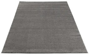 Dywan VERLICE GREY 160x230 szary ELTAP