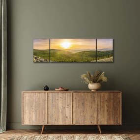 Obraz panoramiczny (170x50 cm)